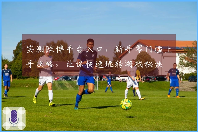 实测欧博平台入口，新手零门槛上手攻略，让你快速玩转游戏秘诀