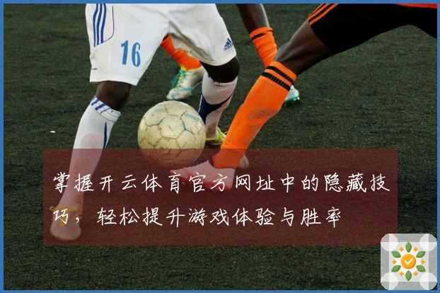 掌握开云体育官方网址中的隐藏技巧，轻松提升游戏体验与胜率