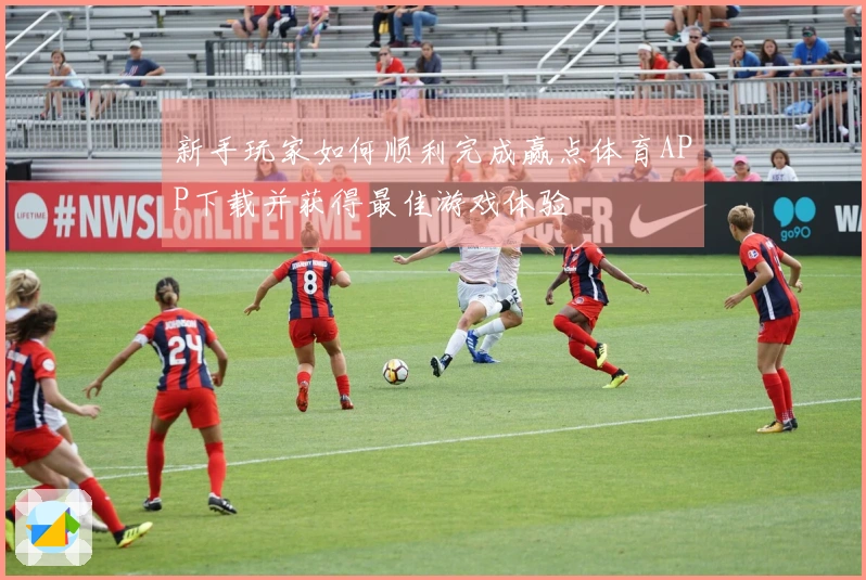 新手玩家如何顺利完成赢点体育APP下载并获得最佳游戏体验